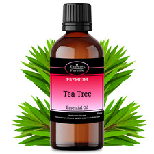 TEA TREE essential oil