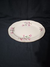Vintage Homer Laughlin Dogwood