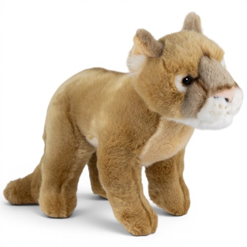 Carl dick mountain lion - dick,
