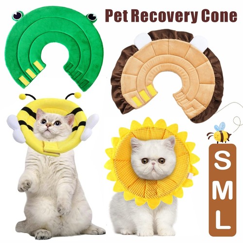Pet recovery lightweight - pet,