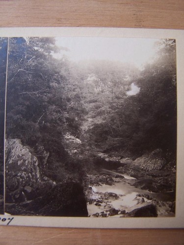 Stereoscope stereo view - stereo,