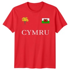 Welsh Cymru Flag Badge