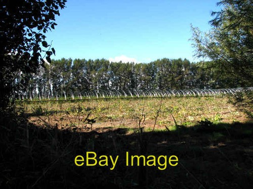Photo 6x4 skeletons - 6x4,