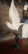 Beautiful Large White Dove
