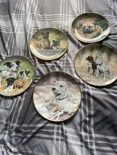 Danbury Mint Paul Doyle Staffordshire Bull Terrier Collectable Plates Set Of 5