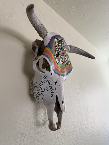 Handpainted austin texas - handpainted,