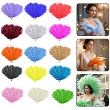 Real Ostrich Feathers