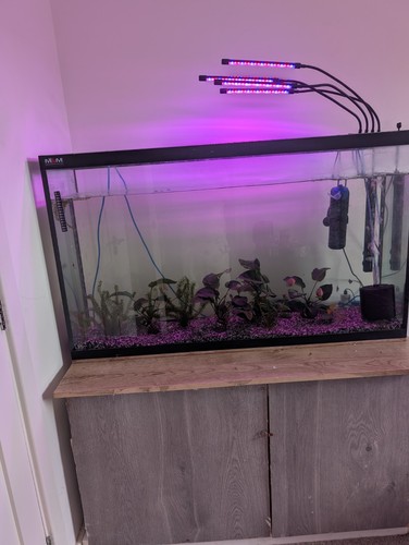This full setup with equipment - setup,