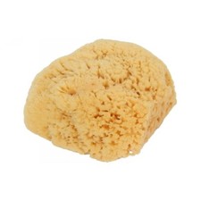 Natural Sea Sponge Bath-Shower