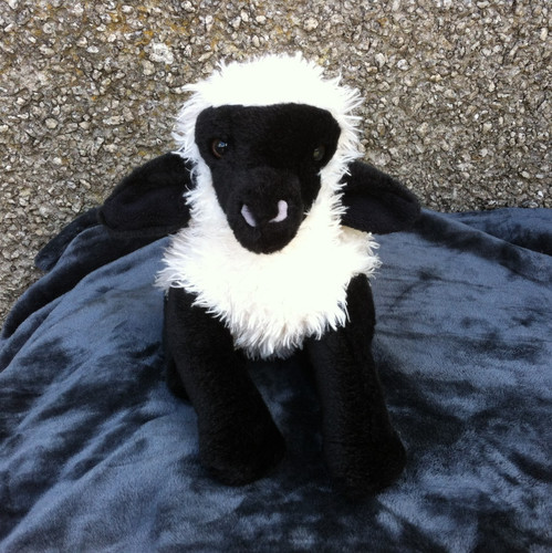 Nice soft plush full bodied - soft,