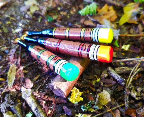 Elderberry carp stalker floats - carp,