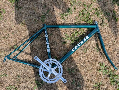 Ladies 47cm frame custom - 47cm, build