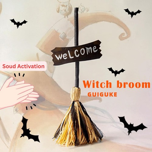 Halloween witch broom party - halloween,