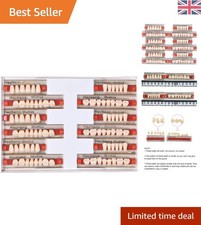 Professional Quality Dental