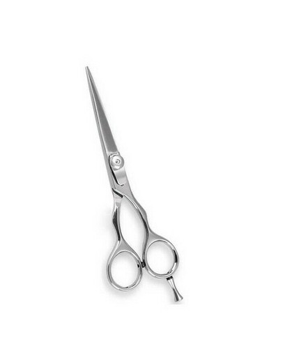 Professional stainless - professional,