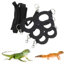 Bearded Dragon Leash and