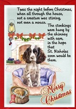 English Springer Spaniel Dog