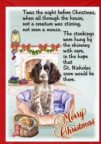 English springer spaniel dog - springer,