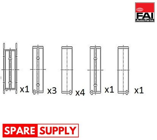 Crankshaft bearings for bmw - bearings,