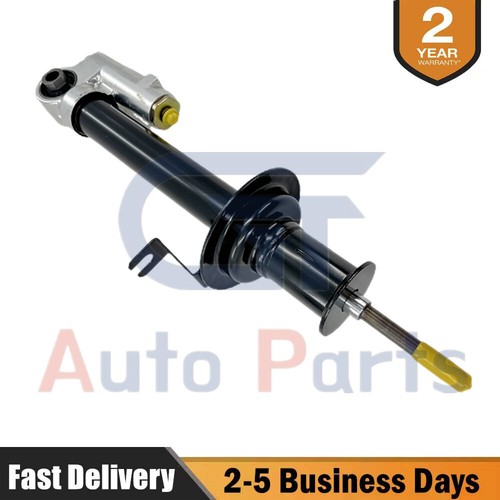 Rear left hydraulic - hydraulic, shock