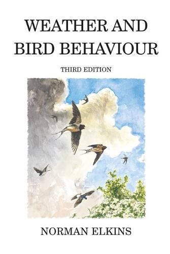 Weather and bird - bird, behaviour