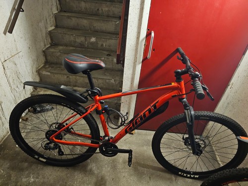 Hardtail 29er large frame - ,