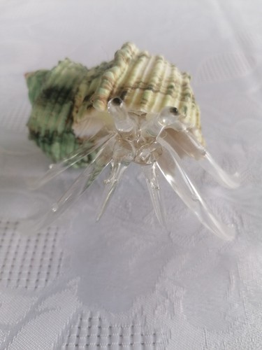 Hand blown glass hermit crab - hand-blown,