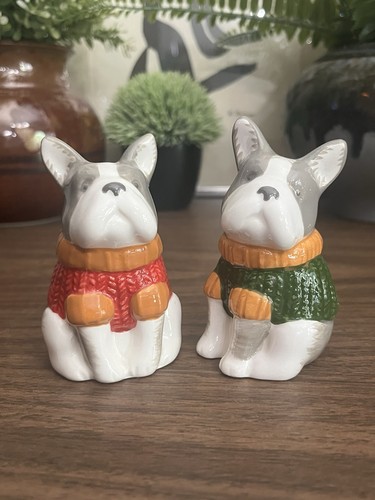 Boston terrier french bulldog - terrier,