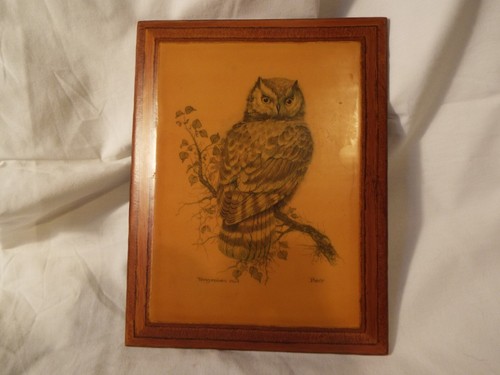 Wooden wildlife artwork - wooden, on