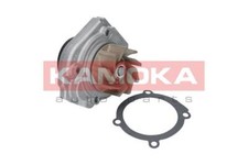 KAMOKA T0013 Water Pump for