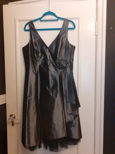 Bnwt debut debenhams metallic - debut,