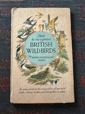 How To Recognise British Wild
