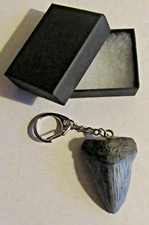 F) KEYRING RESIN MEGALODON
