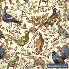 Emma Bridgewater GAME BIRDS paper table 33cm square lunch napkins 20 in pack
