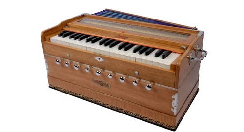 Naal professional dholak - dholak, with