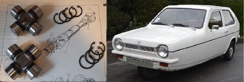 Reliant rialto robin - reliant,