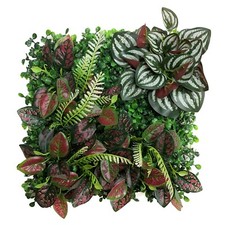 Betta Terra Polka Dot Living