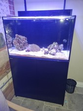 Marine Fish Tank - Full Set