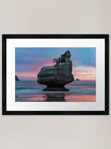 Pink dawn new zealand - pink, in