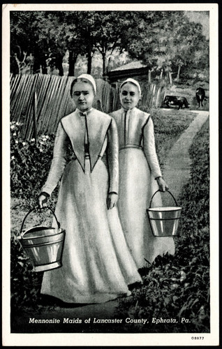 Postcard mennonite maids of - maids,
