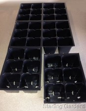 Seed Germination and