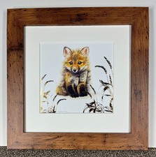 Fox Cub Framed Print by