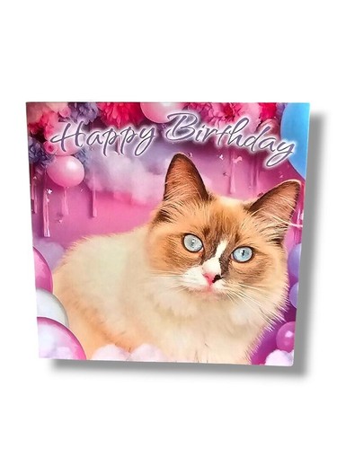 Ragdoll cat birthday - card,, rag