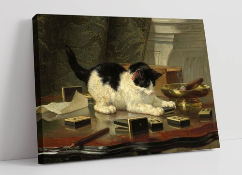 Henriette ronner knip - knip,, kitten