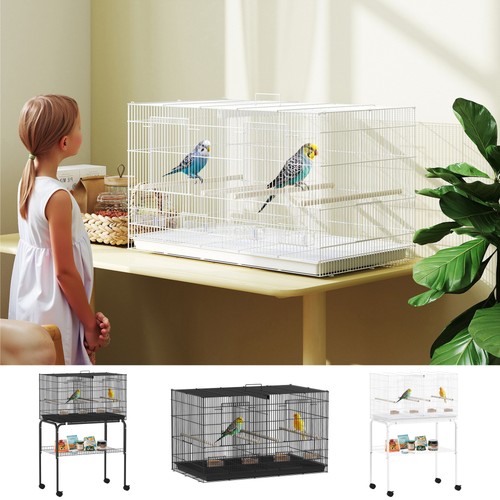 Bird cage parrot - bird,