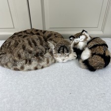 Mrs Chippy Ship’s Cats Replica Furry Plush Polar Explorer Collectable