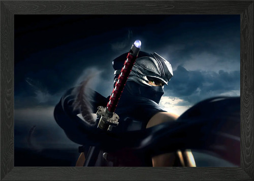 Ninja gaiden framed - framed, wall