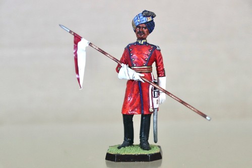 Rose miniatures stadden - miniatures,