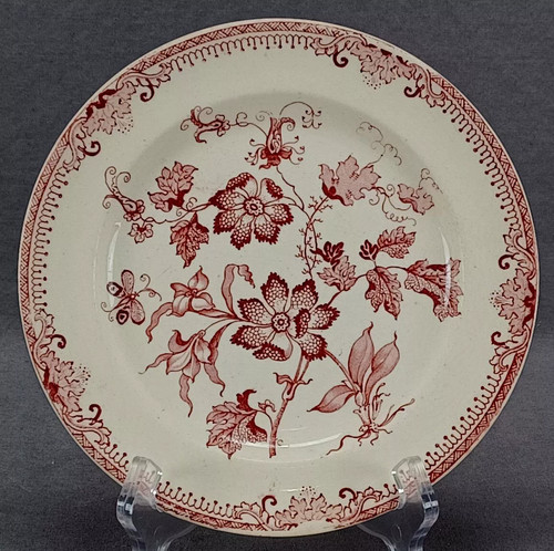 Wileman chinese plant - jf,