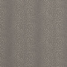 Glamorous Fur Charcoal